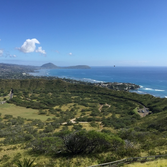 Meet your Posher, Manda - Picture 4 of 4